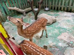 -白鹿原·白鹿仓