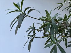 -日出青木·杭帮菜名店