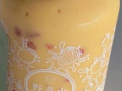 -野萃山·潮汕厚果汁(十亩地店)