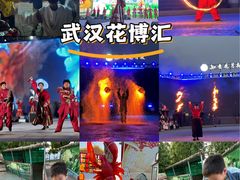-花博汇(知音花月夜)