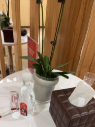 -Yestar宁波艺星整形医院