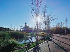 -呈贡滇池生态湿地公园