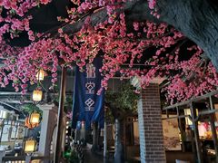 -秀水人家