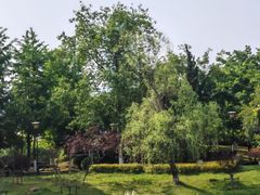 -月湖风景区