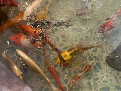 -新群海鲜酒楼