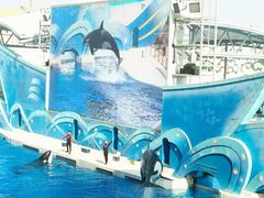 -上海海昌海洋公园