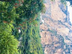 -山西通天峡景区