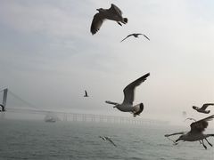 -星海广场