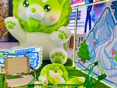 -哈尔滨热雪奇迹