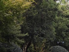 -听松楼·花园酒店·自助餐厅(红梅公园店)