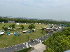 -春花秋色城市公园