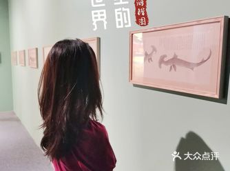 ʕ•ᴥ•ʔ 夏日遛娃哪里去 | 探秘故宫里的海洋世界厦门站️