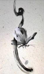 -龙之吻专业刺青·手工耳洞·纹身去色