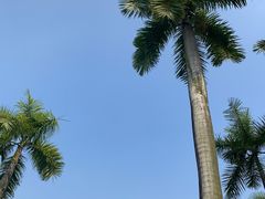 -南宁南湖公园