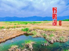 -野鸭湖国家湿地公园