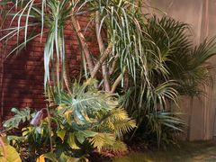 -J Create城市露营咖啡·简餐·宠物(上海动物园店)