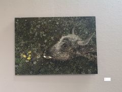 -四川美术馆