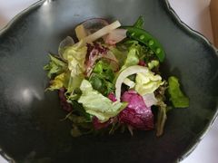 -蝶舍·MAISON PAPILLON