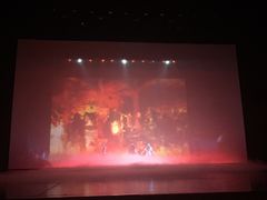 -合肥大剧院