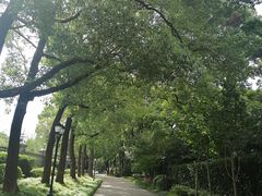 -上海虹桥迎宾馆