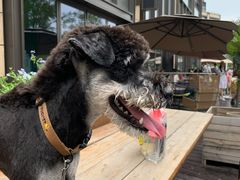 -The Rug Cafe(王府中环店)