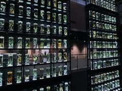 -广东中医药博物馆