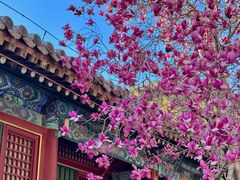 -潭柘寺景区