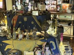 -雪灵魔法世界SHELLY’S TAROT(大良桂畔里店)