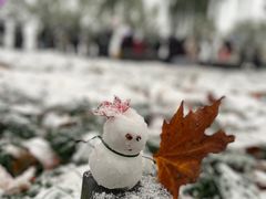 -北山街历史文化街区