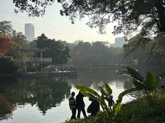 -晓港公园