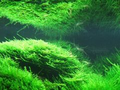 -沣峪森林公园龙潭戏水景区