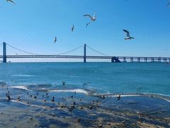 -星海广场