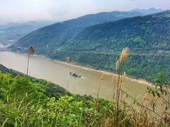 -铁山坪森林公园