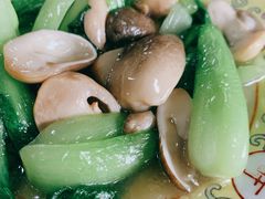 草菇油菜-听鹂馆饭庄(颐和园店)