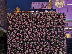 -泉乐坊步行街(烟酒特产平价超市店)