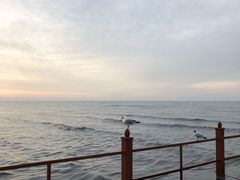 -青海湖仙女湾景区