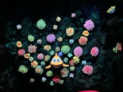 -珠海长隆海洋王国