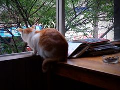 -麦田书店(国防路店)