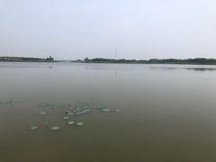 -西青郊野公园