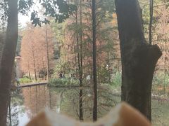 -云溪植物园