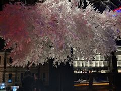 -啤仕多·啤客国潮跳舞BAR(保俶路店)