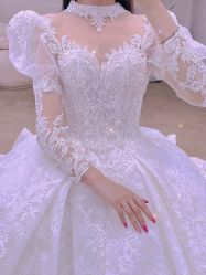 -洋洋婚纱品牌集合店