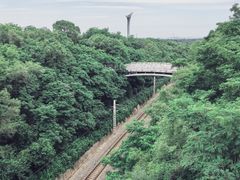-沈阳植物园