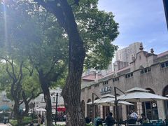 -Seesaw Coffee(上生新所店)