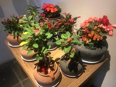 -瓦库茶馆17号(海汇港店)