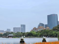 -顺峰山公园