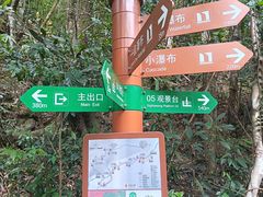 -海南热带雨林国家公园吊罗山景区