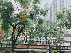 -冯记香辣兔火锅(茶店子总店)