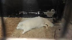 -酷嗒动物文化乐园(cutezoo西溪乐天城店)