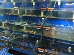 水产区-雅逸居海鲜小厨